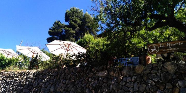 Hotel La Tinensa Puebla de Benifasar Exteriör bild